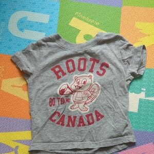 Roots Toddler Gray Tee with Red Graphic